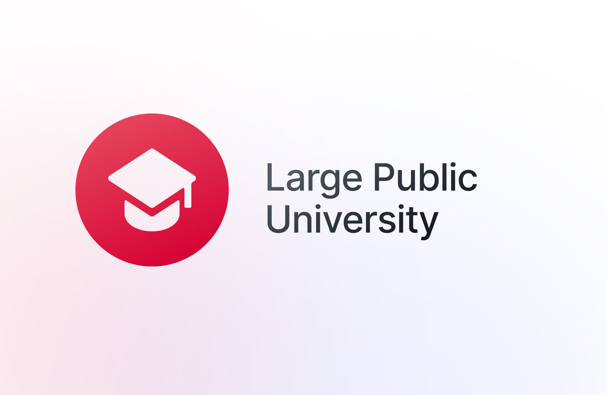 Large Public University